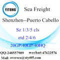 Shenzhen Port Zeevracht Shipping Naar Puerto Cabello